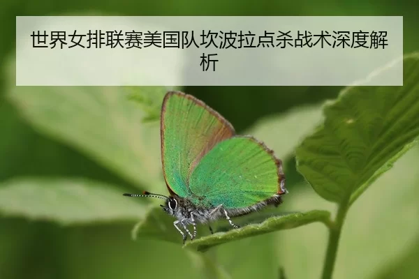 shi-jie-nv-pai-lian-sai-mei-guo-dui-kan-bo-la-dian-sha-zhan-shu-shen-du-jie-xi-3-646.jpg
